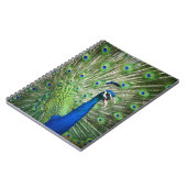 わめく孔雀 ノートブック (左側)