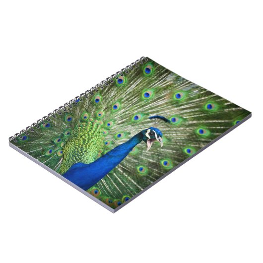 わめく孔雀 ノートブック (左側)