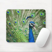 わめく孔雀 マウスパッド (マウス)