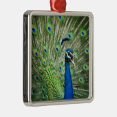 わめく孔雀 メタルオーナメント (右)