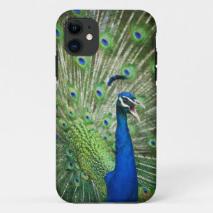 わめく孔雀 iPhone 11 ケース