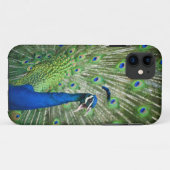 わめく孔雀 Case-Mate iPhoneケース (裏面(横))