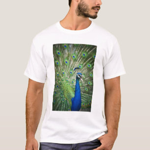 わめく孔雀 Tシャツ