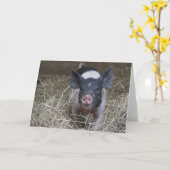 わらのコブタ カード (黄色い花)