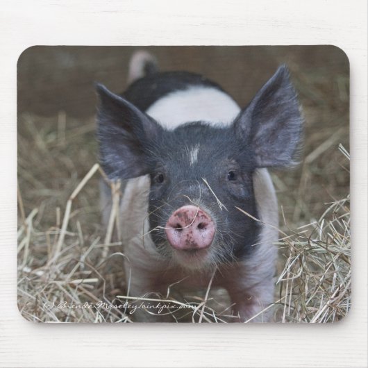 わらのコブタ マウスパッド (正面)