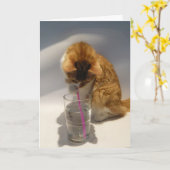 わらのハッピーバースデーから飲んでいるかわいい猫 カード (黄色い花)