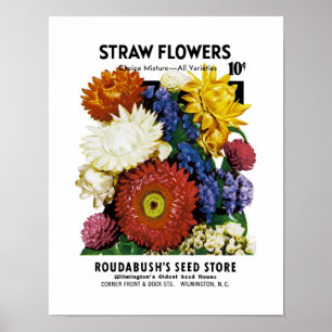 わらの花の種の包みのラベル ポスター