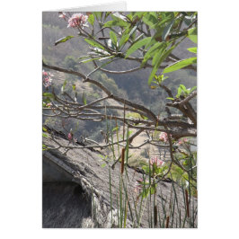 わらぶき屋根上の木-空白のなカード