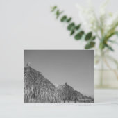 わらぶき葉書 ポストカード (スタンド正面)