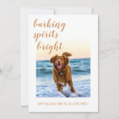 わんちゃんの写真で輝くホリデーカード「吠えるスピリットを明るく」 シーズンカード (正面)
