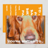 わんちゃんの誕生日パーティー招待状 招待状 (正面/裏面)