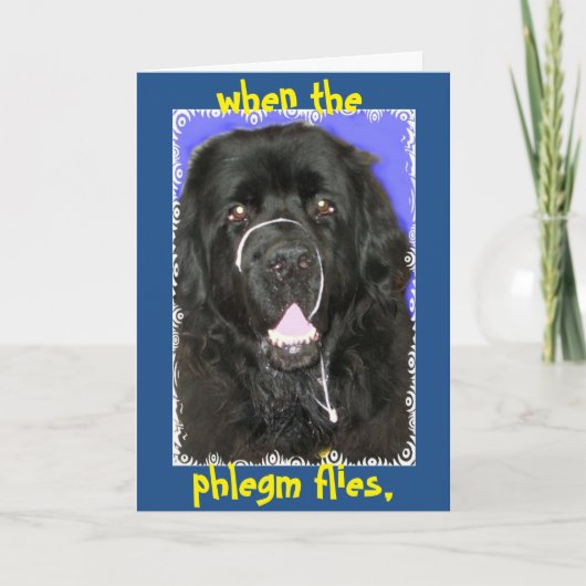 ~をニューファンドランドに挨拶する カード (正面)