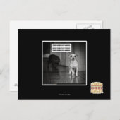 ~を恐れることは何もない ポストカード (正面/裏面)