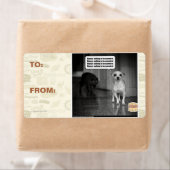 ～を恐れることは何もない ラベル (インサイチュ)