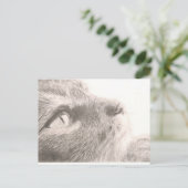 ～を手に入考えれる ポストカード (スタンド正面)