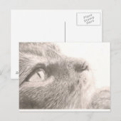 ～を手に入考えれる ポストカード (正面/裏面)