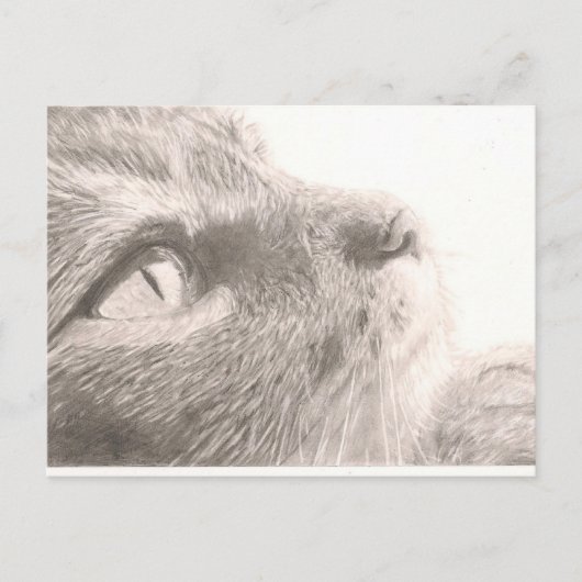 ～を手に入考えれる ポストカード (正面)