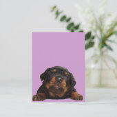 ~を手に入考えれる ポストカード (スタンド正面)