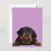 ~を手に入考えれる ポストカード (正面/裏面)