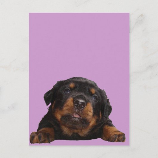 ~を手に入考えれる ポストカード (正面)