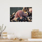 ～を抱えているスターフィッシュ ポスター (キッチン)