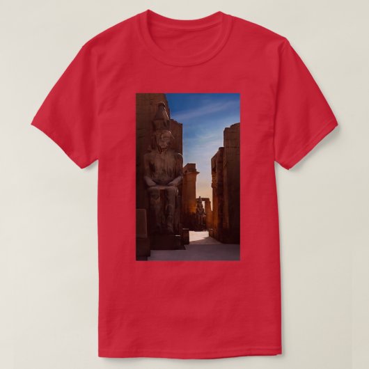 を暴素晴らし動 Tシャツ (デザイン正面)