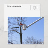 ～を木から取り除くはがき ポストカード (正面/裏面)