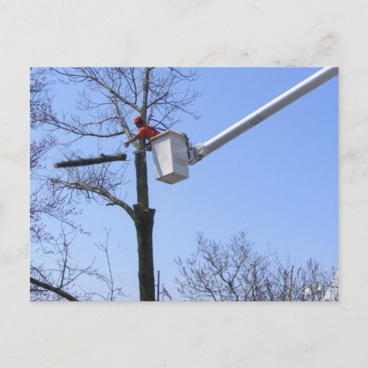 ～を木から取り除くはがき ポストカード (正面)