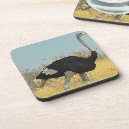 ～を求め走る コースター (左側)