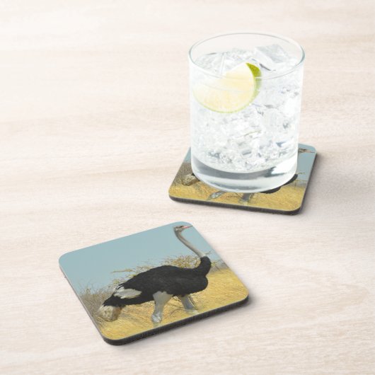 ～を求め走る コースター (右側)