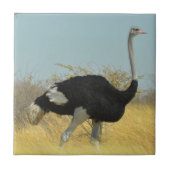 ～を求め走る タイル (正面)