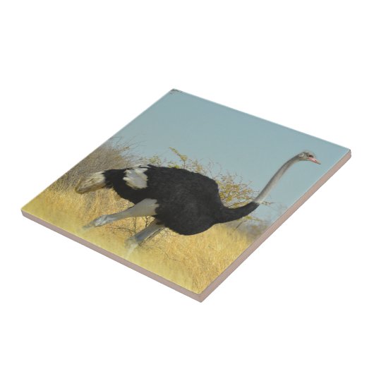 ～を求め走る タイル (側面)