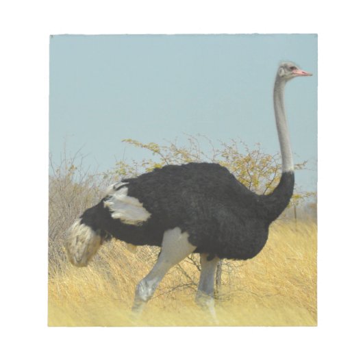 ～を求め走る ノートパッド (正面)