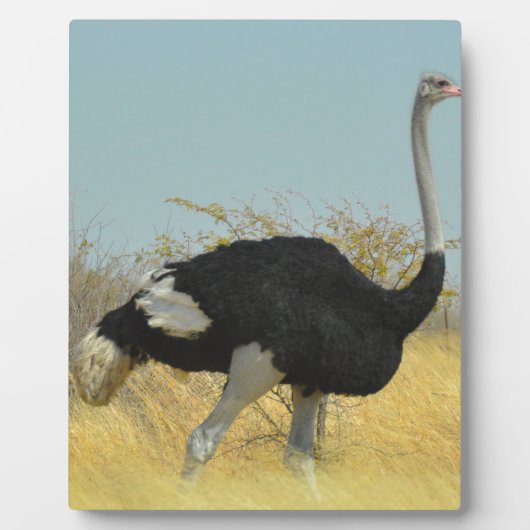 ～を求め走る フォトプラーク (正面)