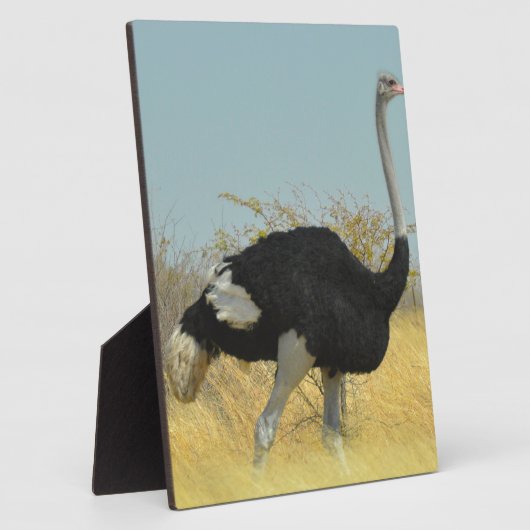 ～を求め走る フォトプラーク (側面)