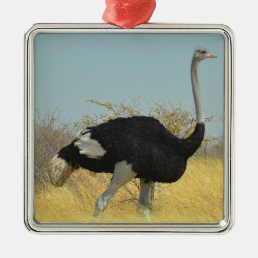 ～を求め走る メタルオーナメント (正面)