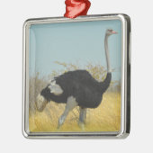 ～を求め走る メタルオーナメント (左)