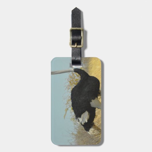 ～を求め走る ラゲッジタグ (正面縦)