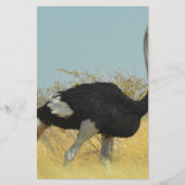 ~を求め走る 便箋 (正面)