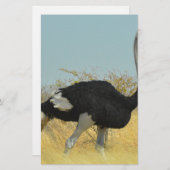 ～を求め走る 便箋 (正面/裏面)