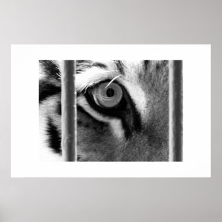 ～を見ながら ポスター