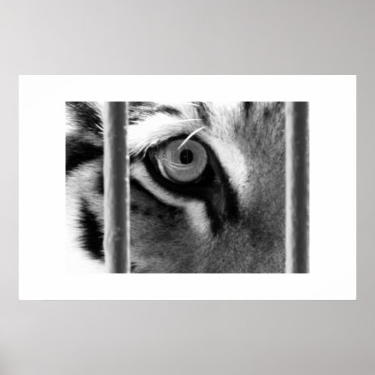 ～を見ながら ポスター (正面)