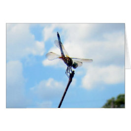 ~を離陸する準備をする