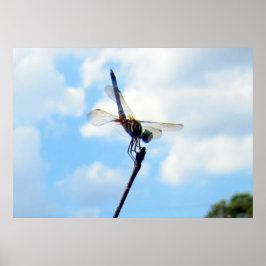 ～を離陸する準備をする ポスター