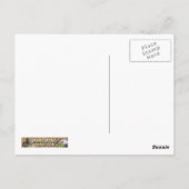 を魅了する ポストカード (裏面)