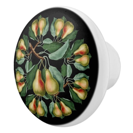 ~を黒や色の背景に梨をつける セラミックノブ (右)