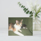 アぶら下がったウト ポストカード (スタンド正面)