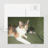 アぶら下がったウト ポストカード (正面/裏面)