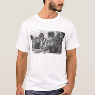 アアルダーク語 – オリクテロプス後尾 Tシャツ