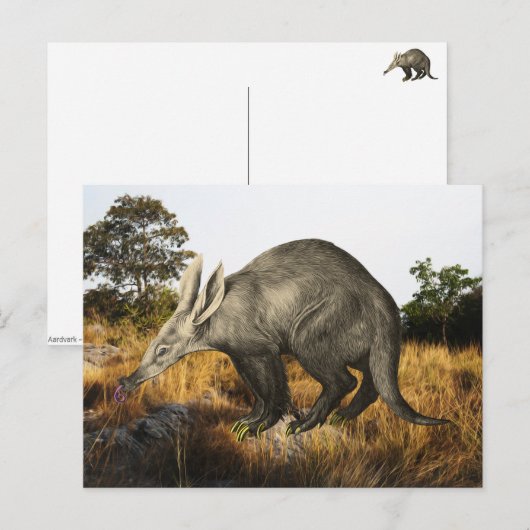 アアルダーク ポストカード (正面/裏面)